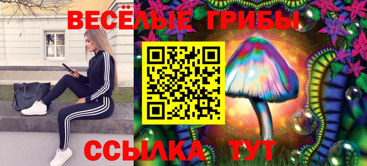 Галлюциногенные грибы Psilocybe  Вход с VPN  Кирово-Чепецк 