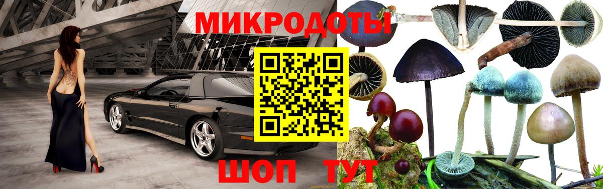 Псилоцибиновые грибы мицелий Кирово-Чепецк